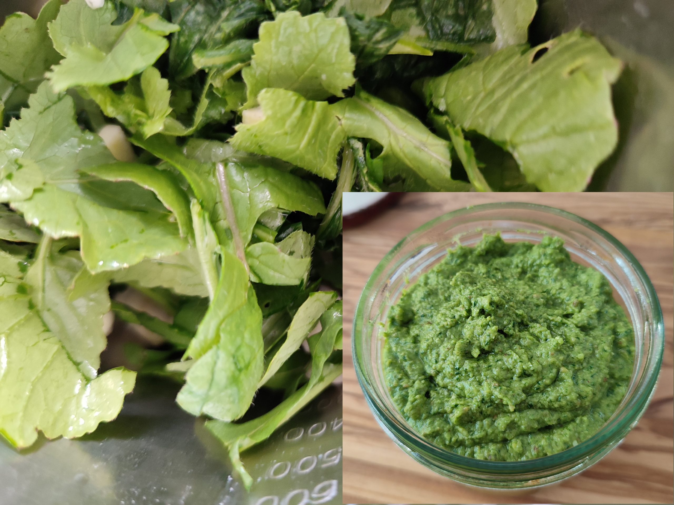 Pesto aus Radieschengrün
