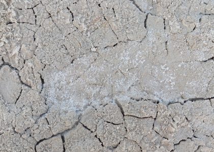 Sardinien: Der Westen – Kapitel 2