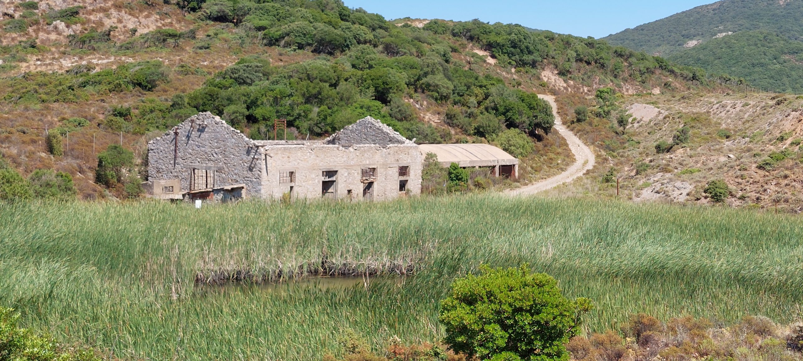 Sardinien: Der Westen – Kapitel 17