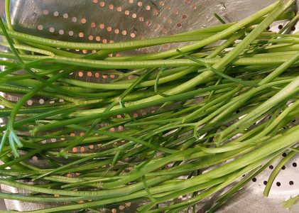 Petersilien-Pesto (nur die Stiele der Petersilie = Resteverwertung)