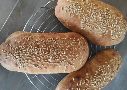 Dinkelbrot Farro livieto madre