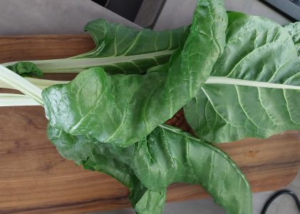 Mangoldsuppe mit Rindfleisch und Parmesan