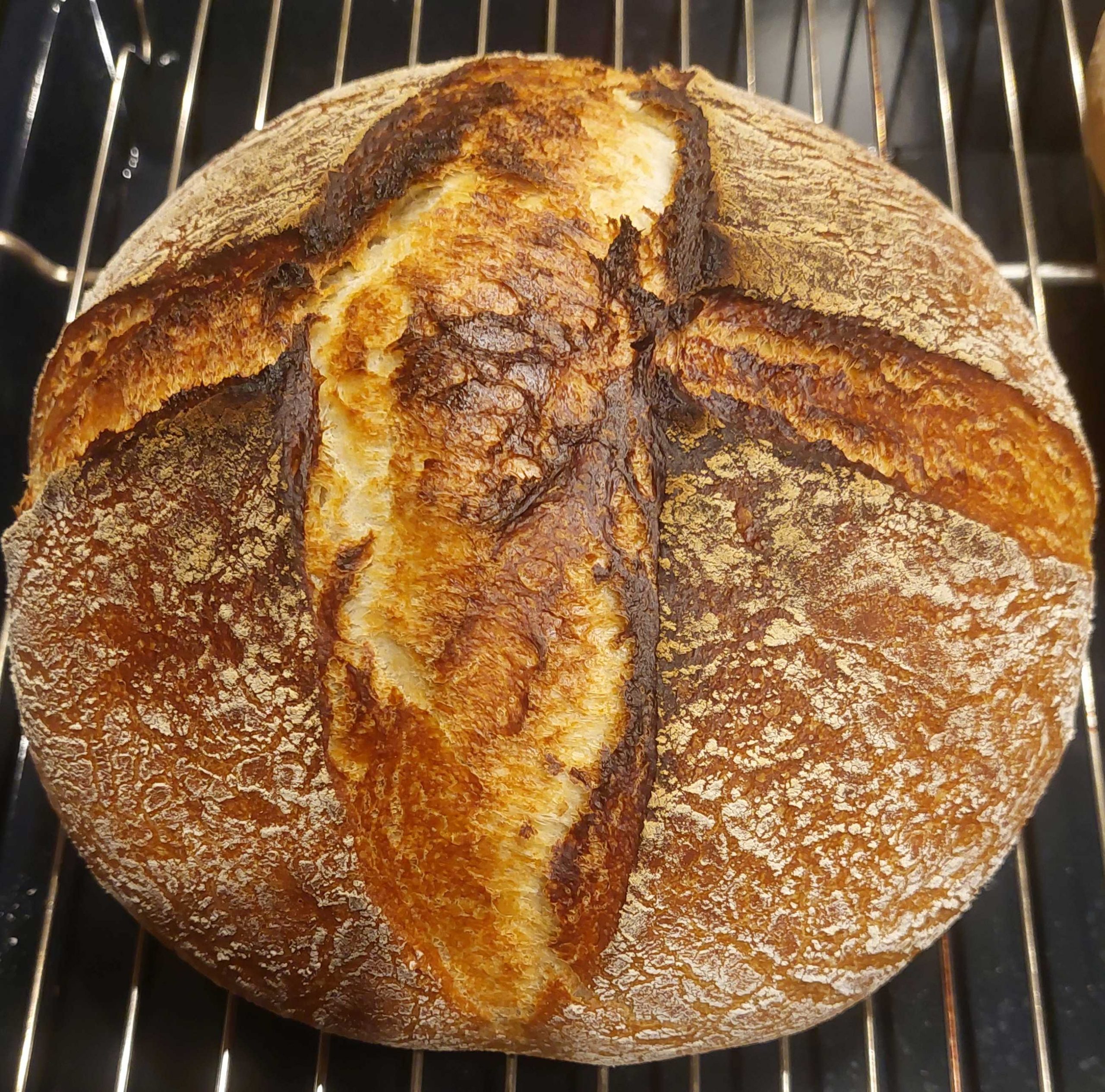 PANE PUGLIESE