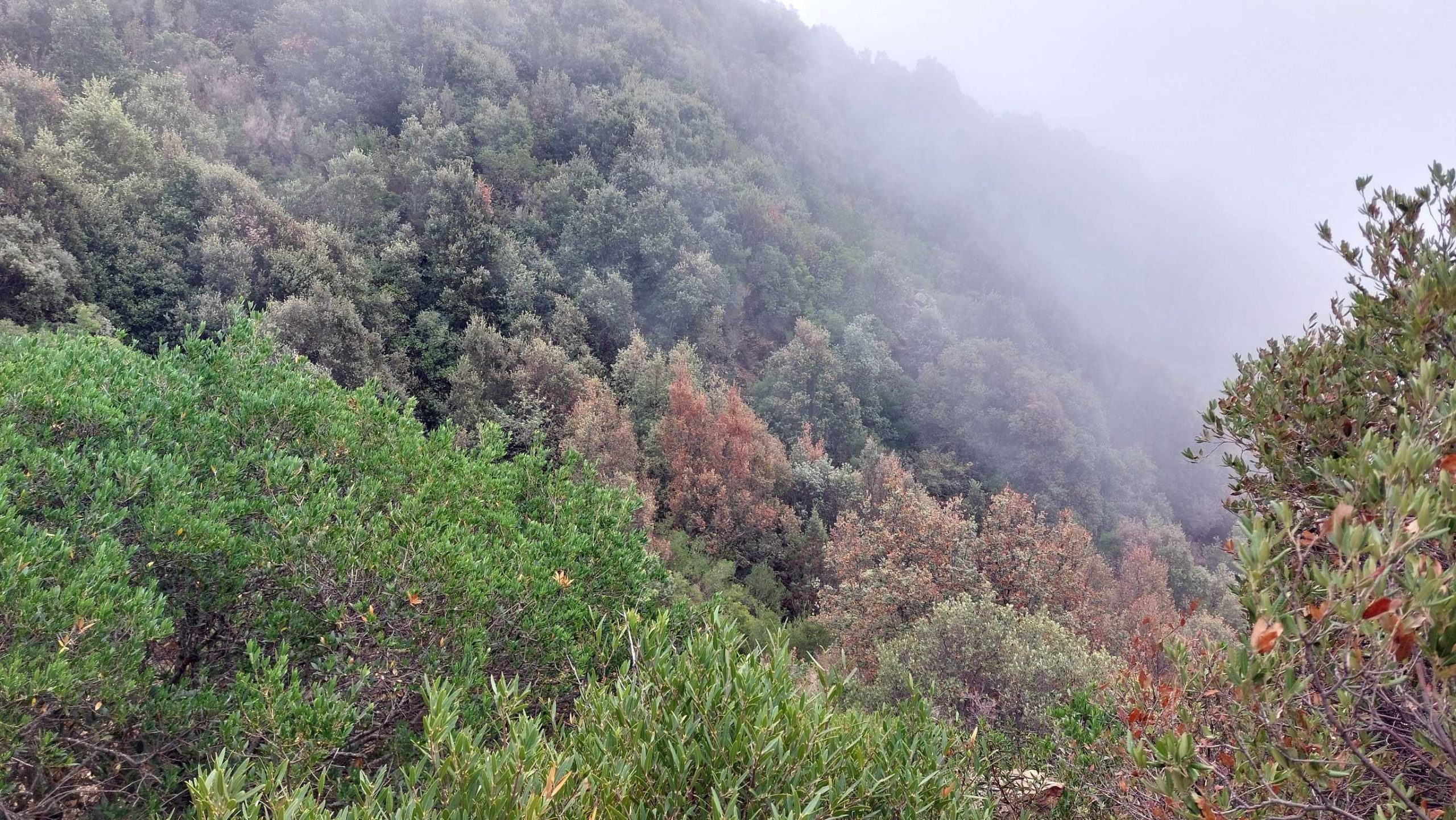 Die Barbagia und La Superba