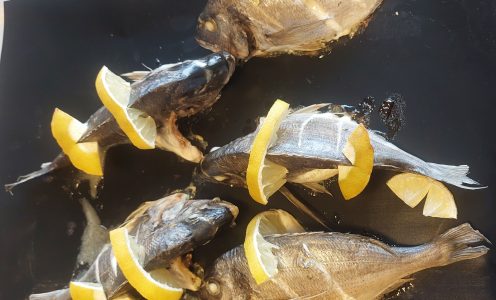 Dorade aus dem Backofen
