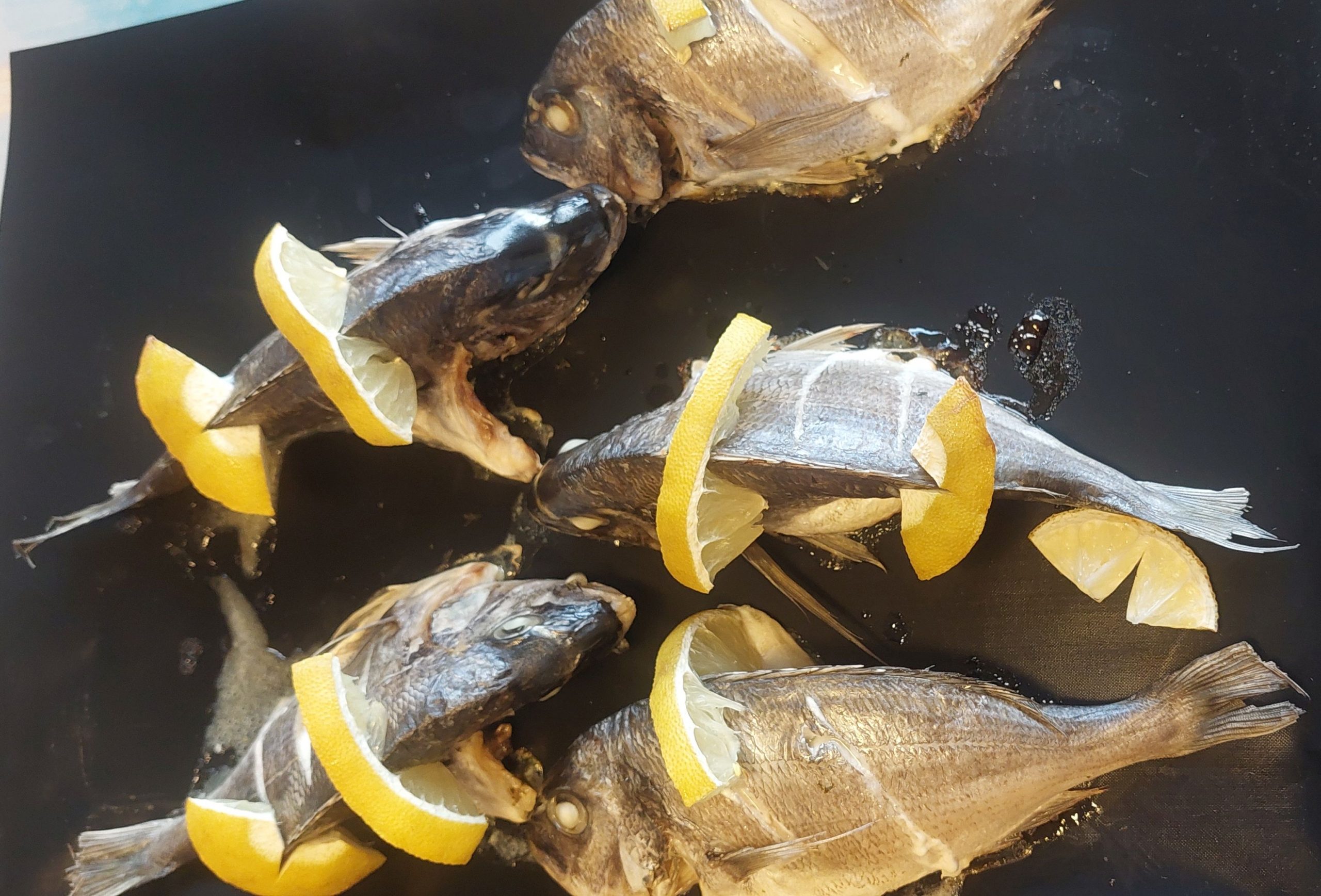 Dorade aus dem Backofen