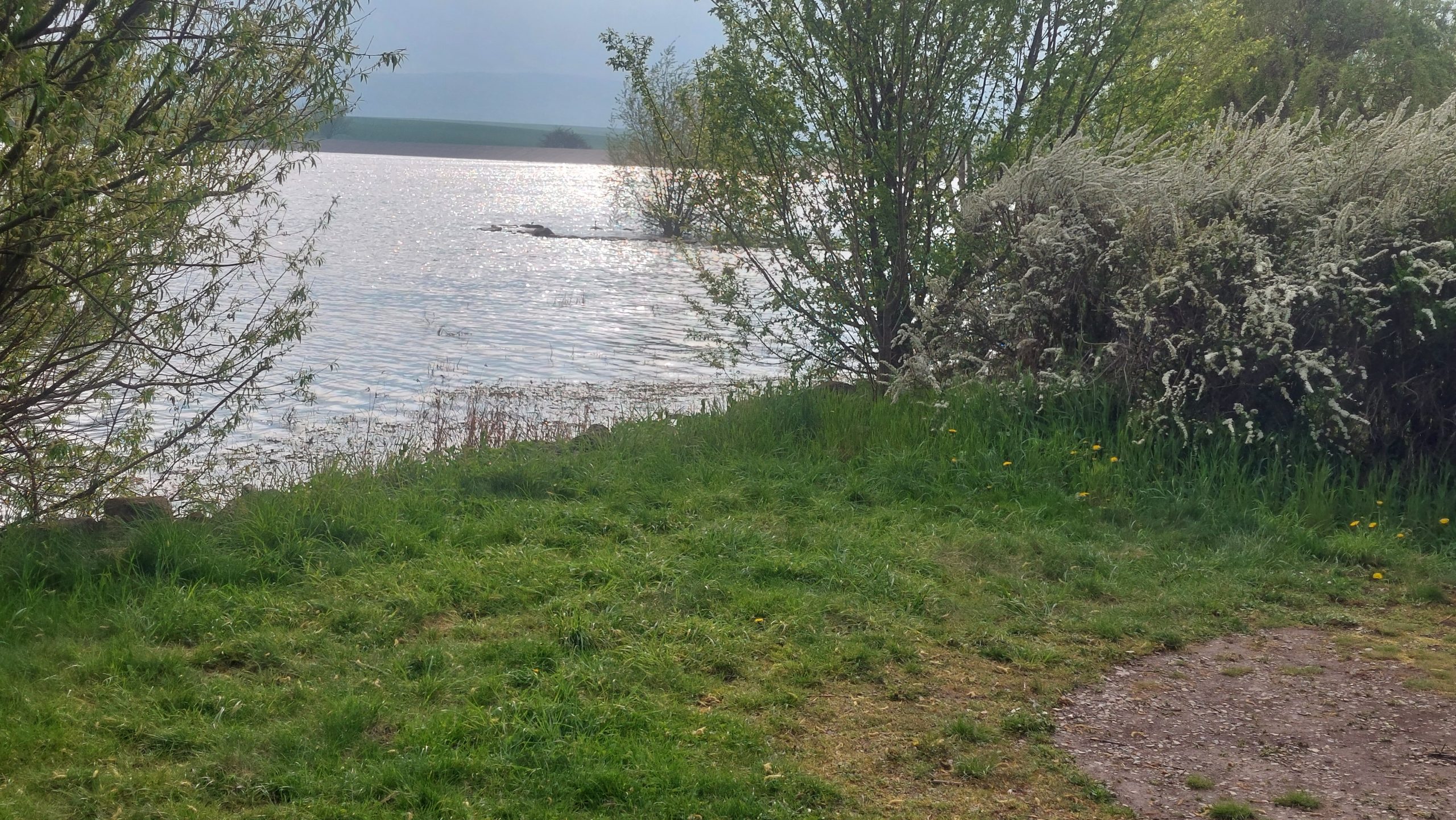 Palumpa Land mit dem Campervan