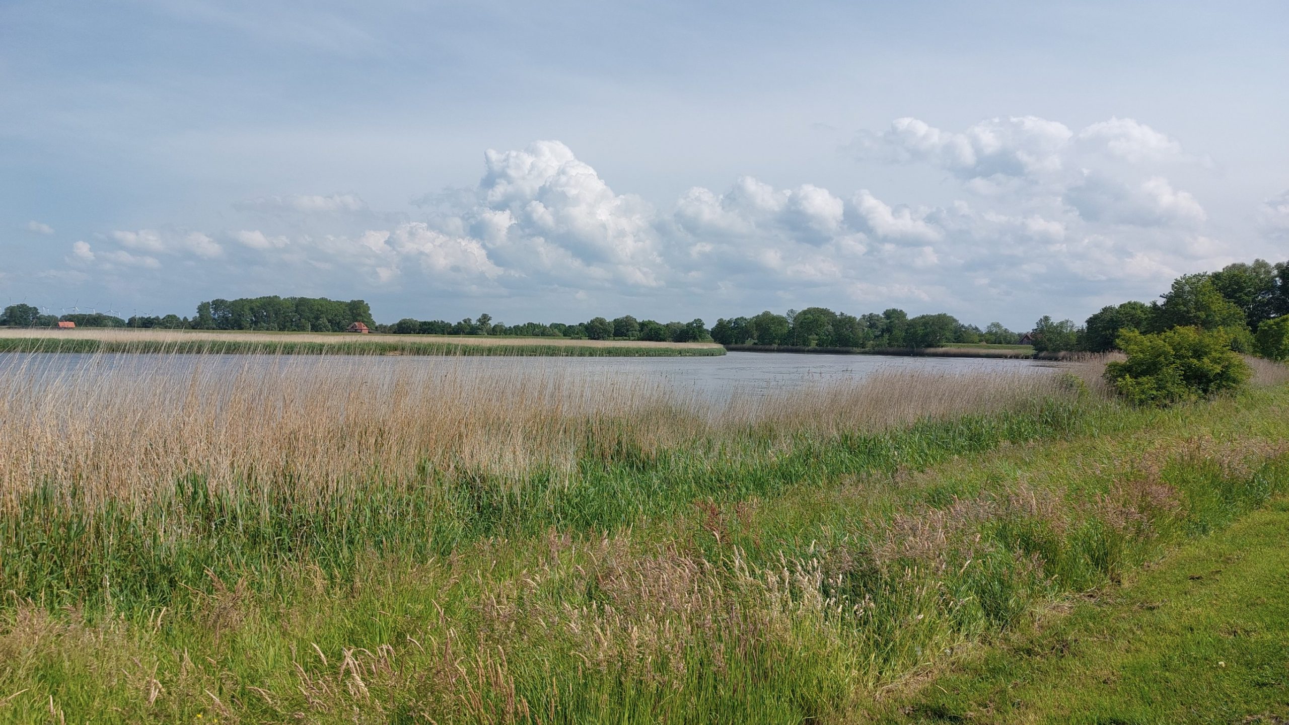 Wohnmobilstellplatz Jachthafen Neuhaus an der Oste