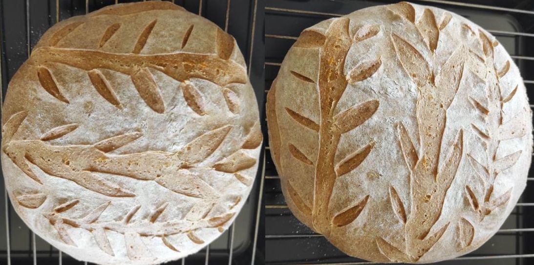 Pane pagnotta casereccia – als Dinkelvariante