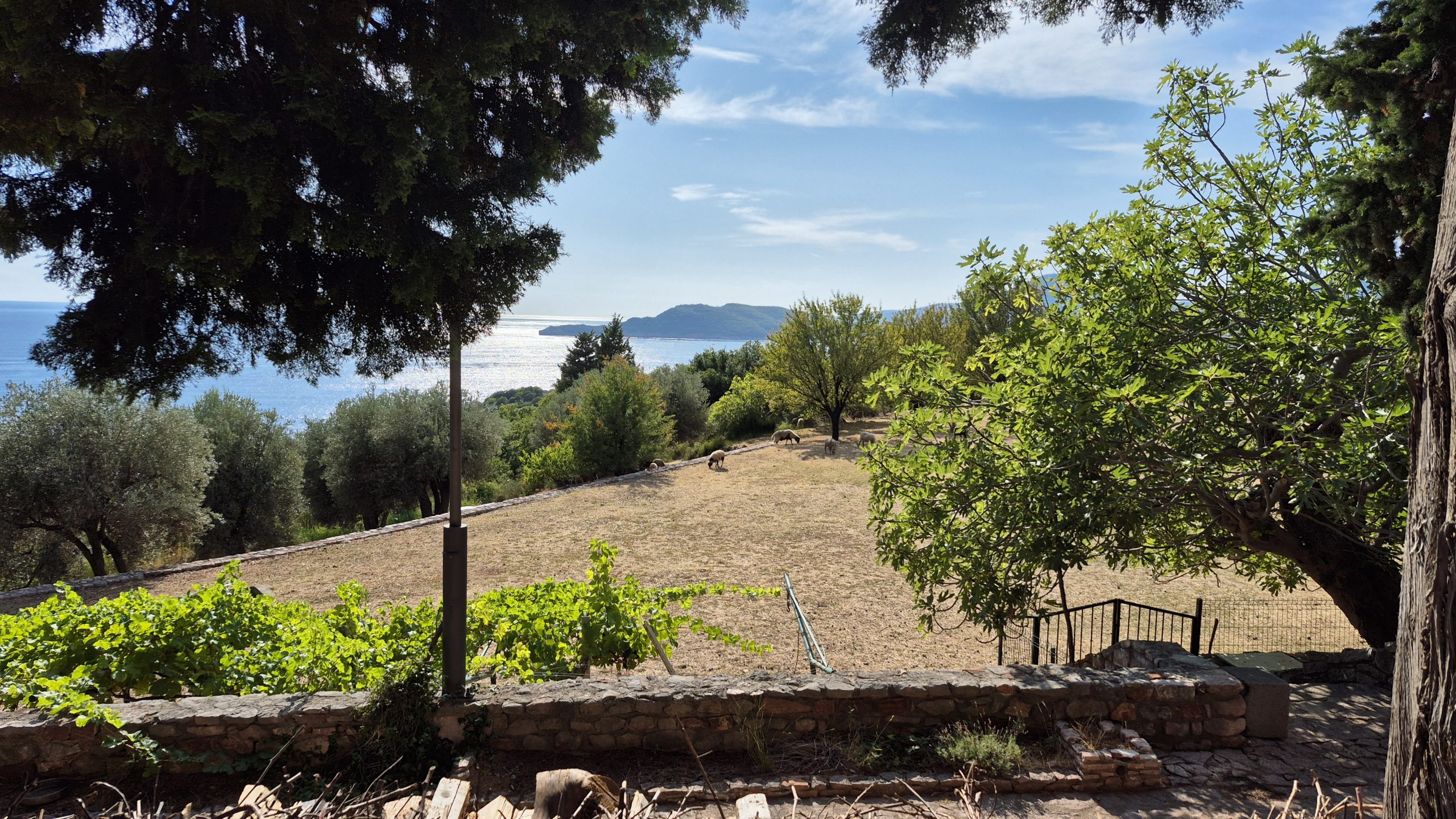 Kloster Praskvica und Beach Kamenovo